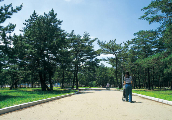 浜の宮公園。広大や敷地を誇る公園です。浜の宮市民プールも併設されています。まで670m