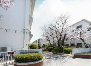 松山市立雄郡小学校まで634m
