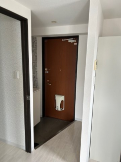 ディオ・ミオ301の画像