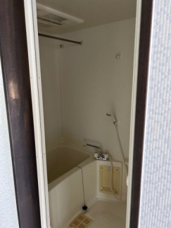 ディオ・ミオ301の画像