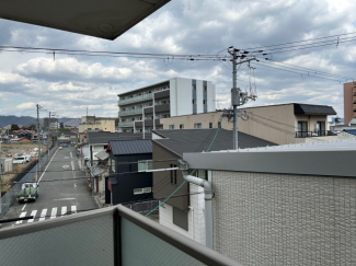 ディオ・ミオ301の画像