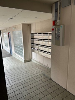 ディオ・ミオ301の画像