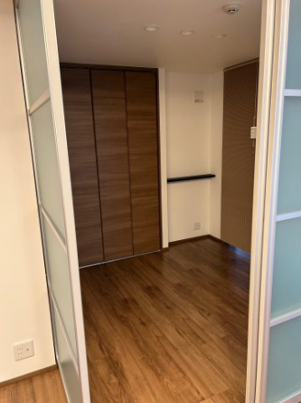 STEL LA白銀の画像