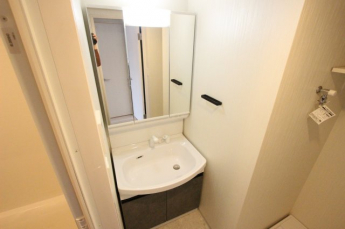 スペースが確保できる洗面所です