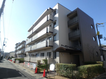 外観もきれいです