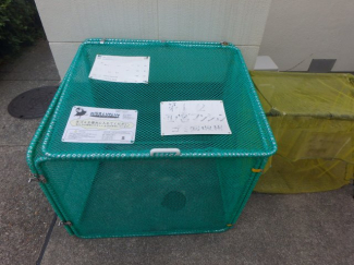 ゴミ置き場です