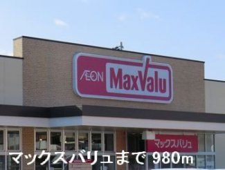 マックスバリュまで980m