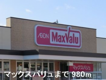 マックスバリュまで980m