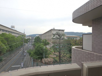 見晴らし良いです