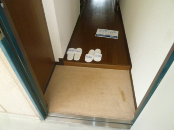 落ち着いた玄関です
