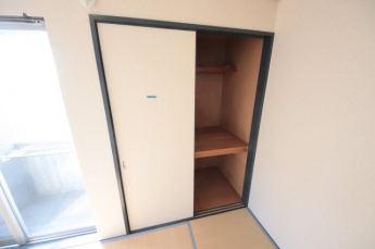 大きなものも収納できそうです