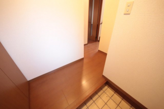 落ち着いた玄関です