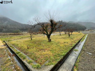 【その他】