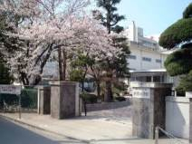 松山市立東雲小学校 744m