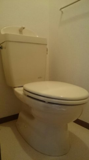 ゆったりとした空間のトイレです