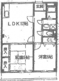 雄姿Ⅲの画像