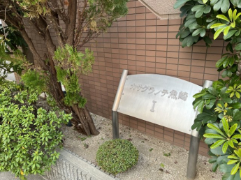 【その他】