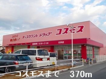 コスモスまで370m