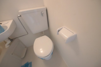落ち着いた色調のトイレです