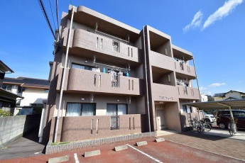 完成写真