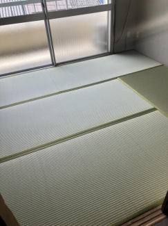 海が見えます