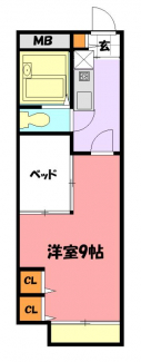沢野