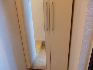 落ち着いた玄関です