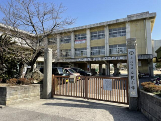 今治市立立花小学校まで174m