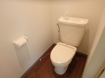 コンパクトで使いやすいトイレです
