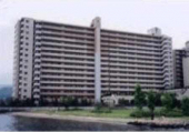 大津市茶が崎のマンションの画像