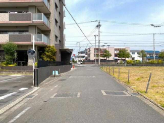 ２０２５年４月撮影