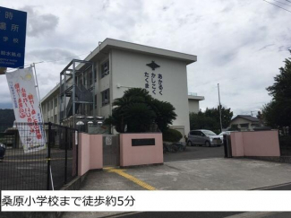 松山市立桑原小学校まで860m