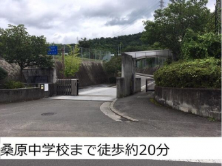 松山市立桑原中学校まで1321m