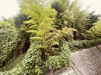 【展望】