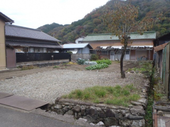 裏からの写真