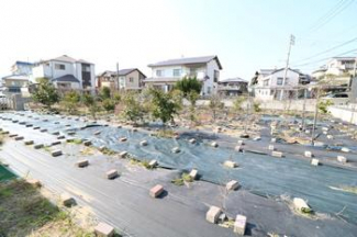 松山市谷町の売地の画像