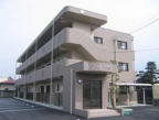 シトラスハーモニーの画像