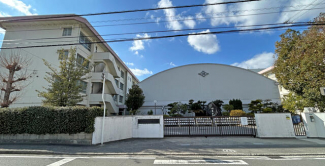 松山市立石井小学校まで523m