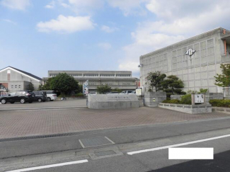 松山市立福音小学校まで1038m