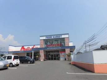 マルナカ平井店 1100m