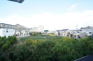 参考、同建物・反転間取りの号室