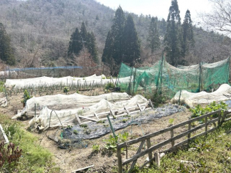 清水字前谷109の画像
