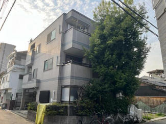 グレイシーＦ．Ｋ（エフケー）の画像