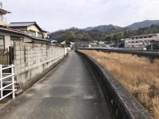 敷地南側の通路
