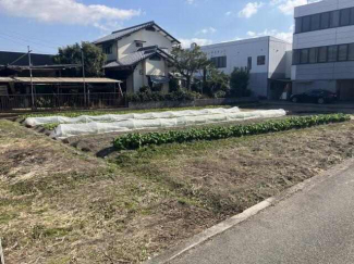 現地（２０２５年２月撮影）