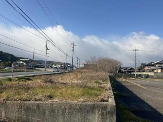 現地（２０２５年２月撮影）