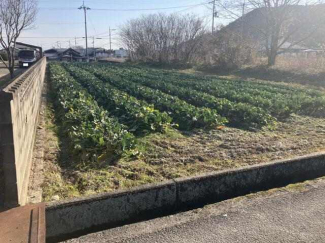 現地（２０２５年２月撮影）