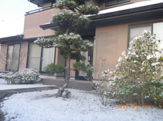 庭（２０１８年１月撮影）