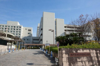 神戸大学医学部附属病院まで559m