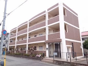外観もきれいです